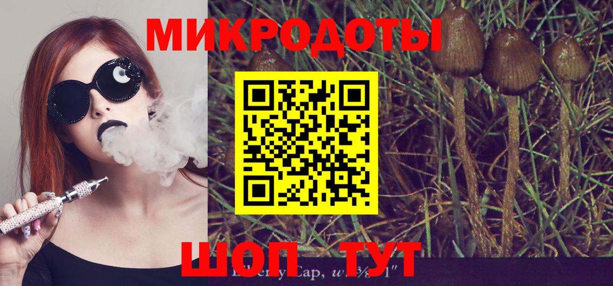 Псилоцибиновые грибы Psilocybe Нижний Тагил