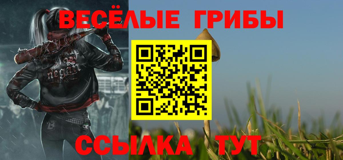Галлюциногенные грибы Psilocybine cubensis  Вход с VPN  Псилоцибиновые грибы Psilocybine cubensis  Нижний Тагил 
